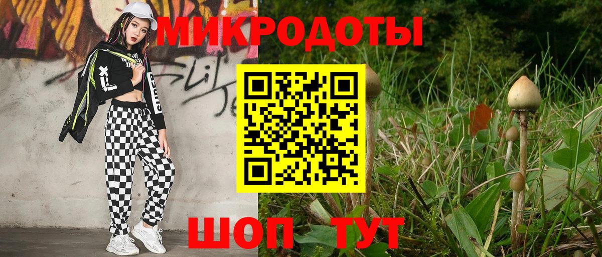 Псилоцибиновые грибы GOLDEN TEACHER  Вход с VPN  Мыски 